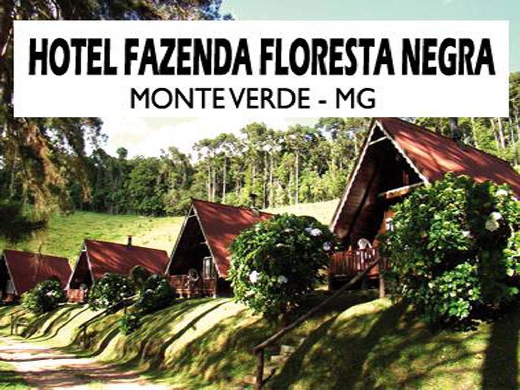Hotel Fazenda Floresta Negra Монте Верде Екстериор снимка
