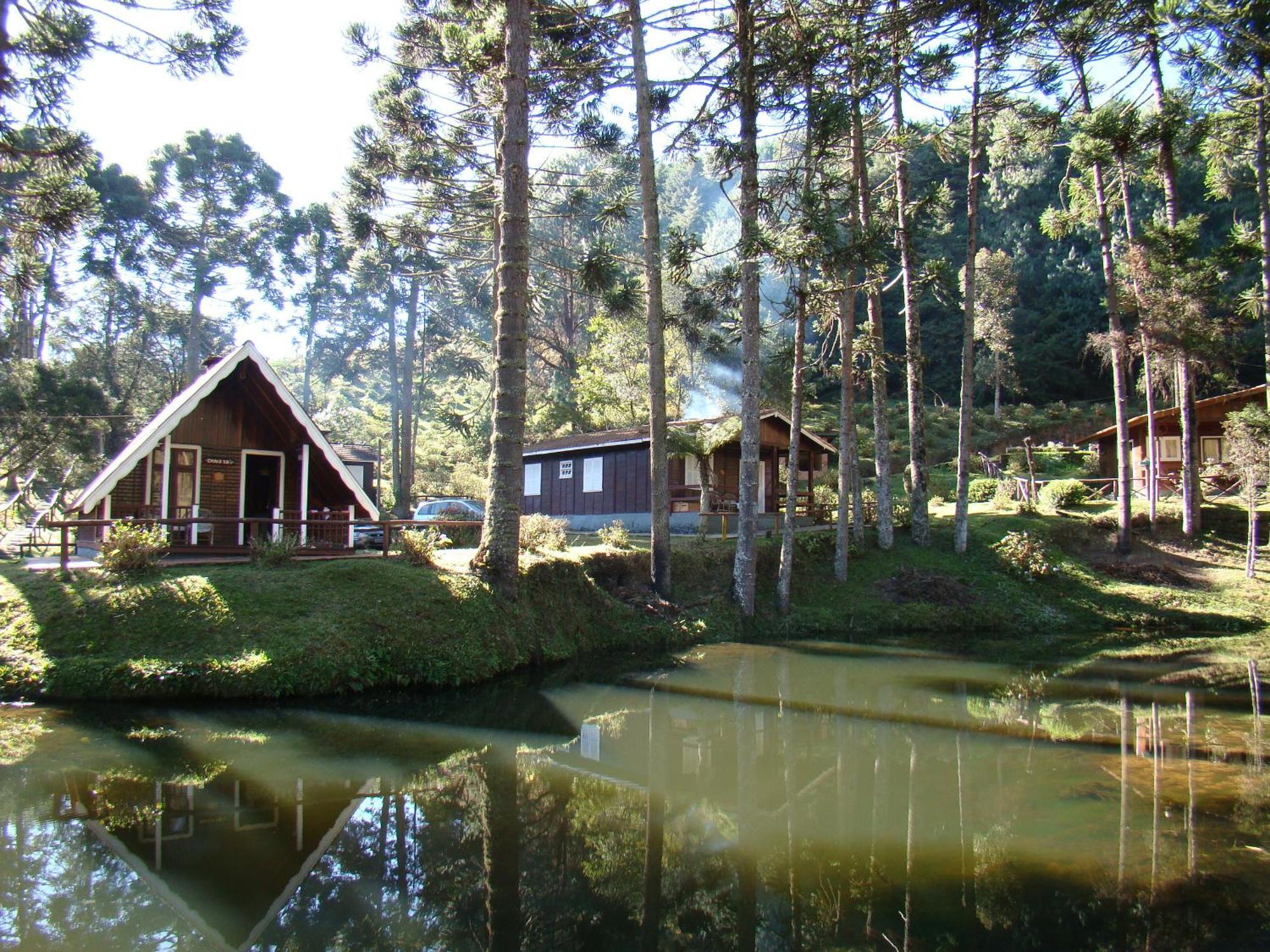 Hotel Fazenda Floresta Negra Монте Верде Стая снимка