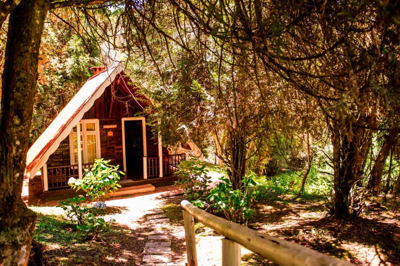 Hotel Fazenda Floresta Negra Монте Верде Екстериор снимка