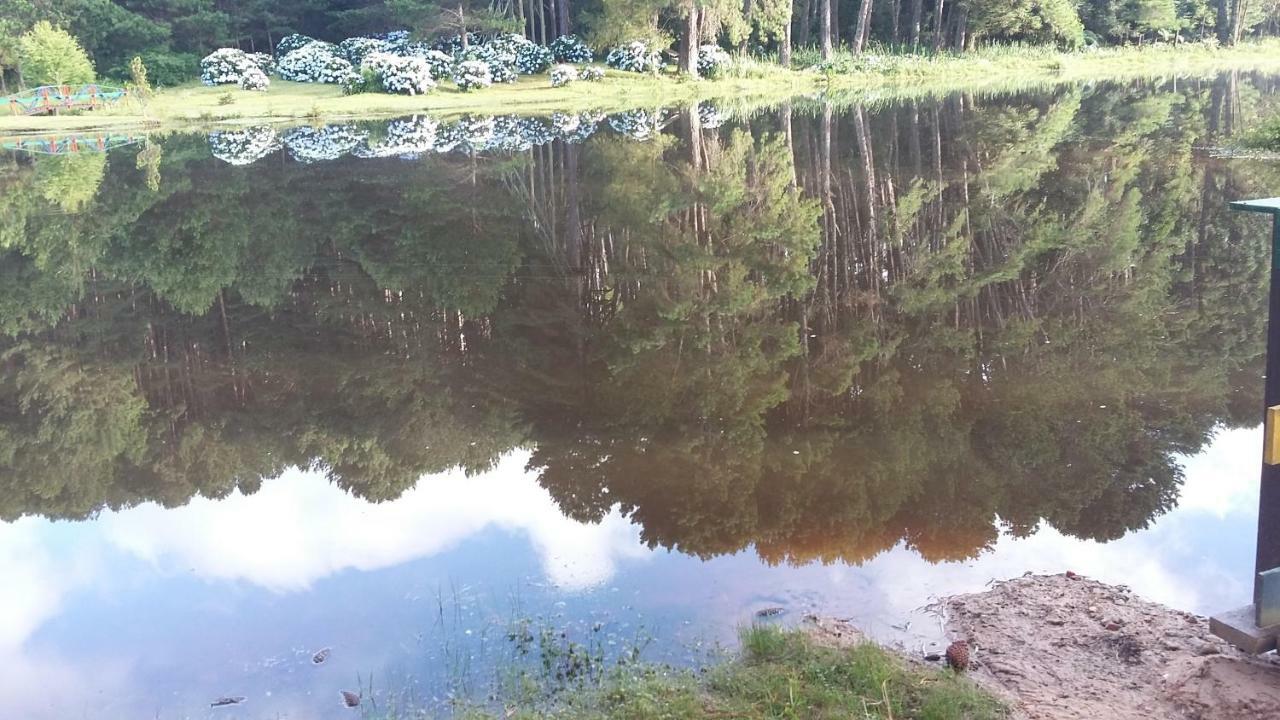 Hotel Fazenda Floresta Negra Монте Верде Екстериор снимка